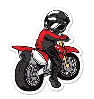 WhatsApp Image 2025-11-13 at 13.33.46_8e2bae28 Mini Moto Rider